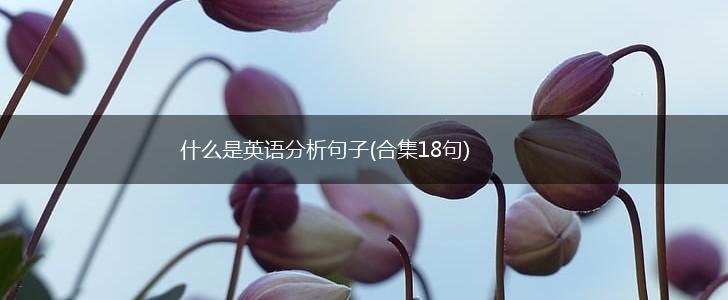 什么是英语分析句子(合集18句),第1张