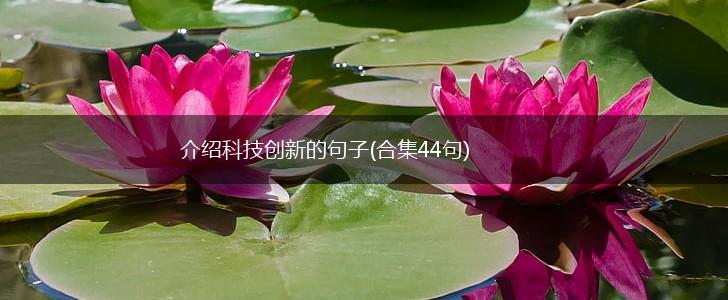 介绍科技创新的句子(合集44句),第1张