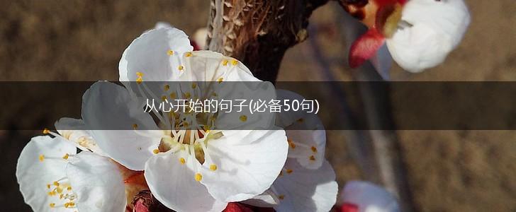 从心开始的句子(必备50句),第1张