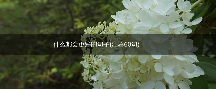 什么都会更好的句子(汇总60句),第1张