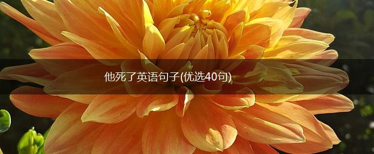 他死了英语句子(优选40句),第1张