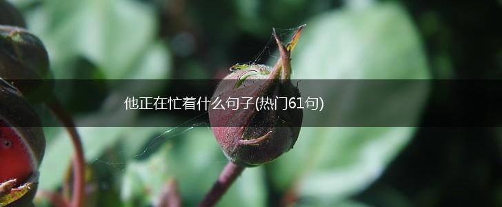 他正在忙着什么句子(热门61句),第1张