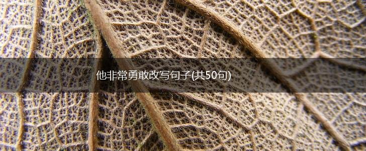 他非常勇敢改写句子(共50句),第1张