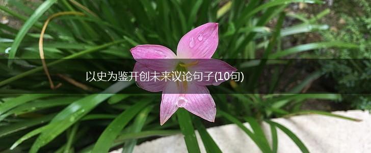 以史为鉴开创未来议论句子(10句),第1张