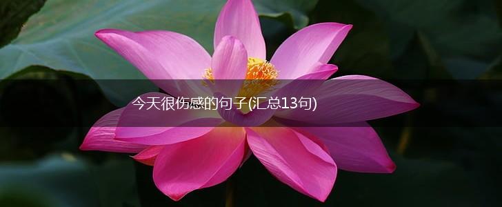 今天很伤感的句子(汇总13句),第1张