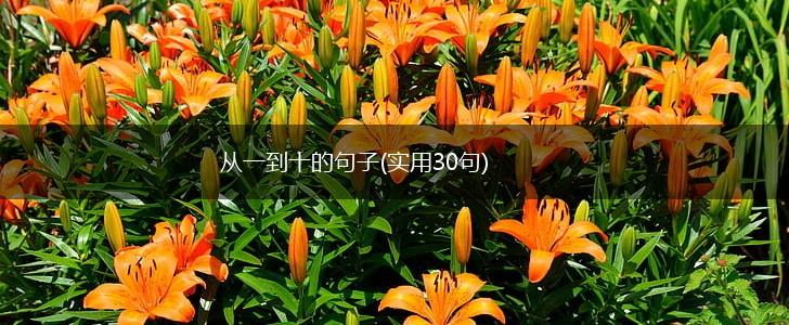 从一到十的句子(实用30句),第1张