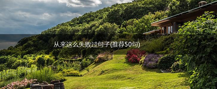 从来这么失败过句子(推荐50句),第1张