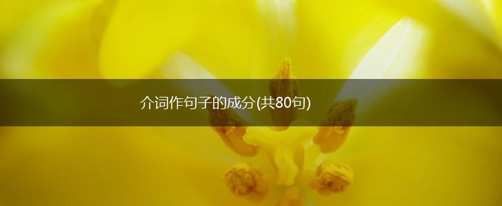 介词作句子的成分(共80句),第1张