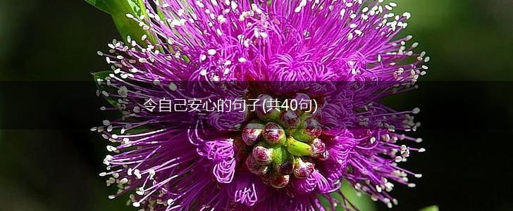 令自己安心的句子(共40句),第1张