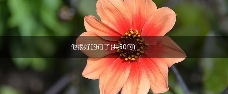 他很好的句子(共50句),第1张