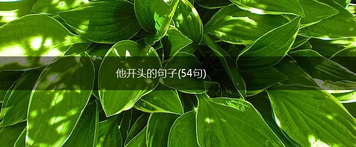 他开头的句子(54句),第1张