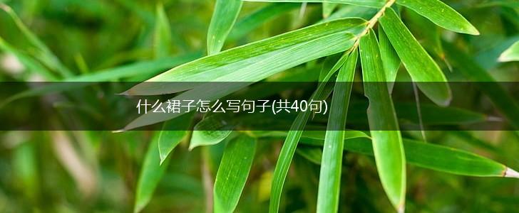 什么裙子怎么写句子(共40句),第1张