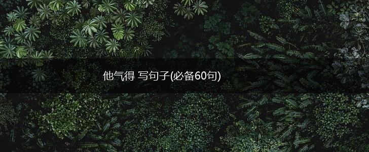 他气得 写句子(必备60句),第1张