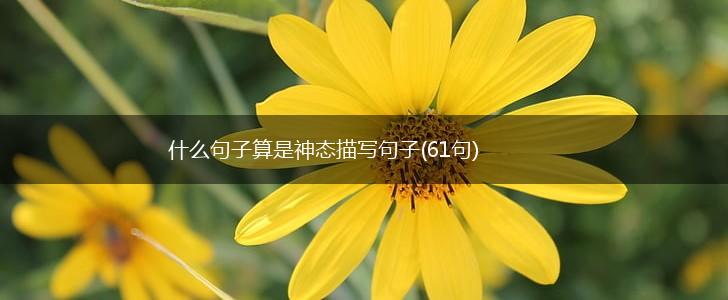 什么句子算是神态描写句子(61句),第1张