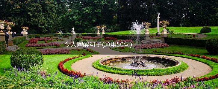 令人陶醉句子(通用50句),第1张