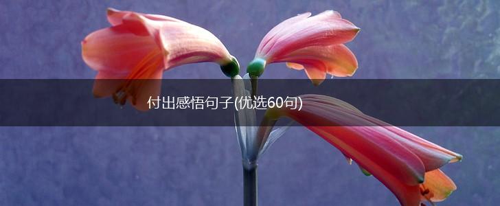付出感悟句子(优选60句),第1张