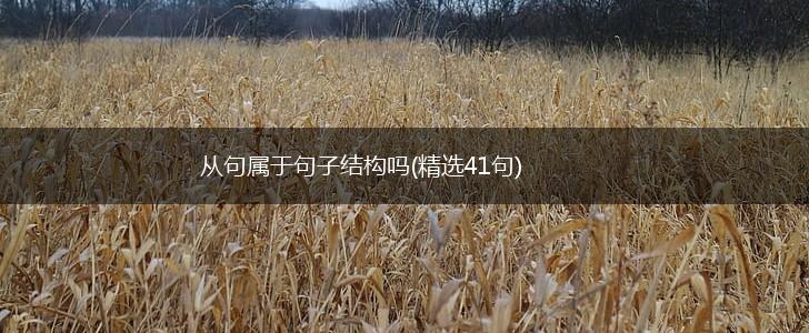 从句属于句子结构吗(精选41句),第1张