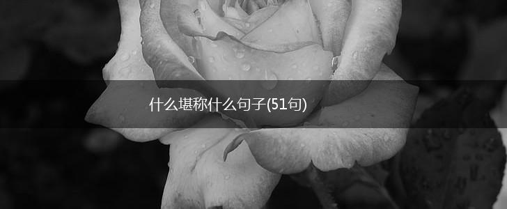 什么堪称什么句子(51句),第1张