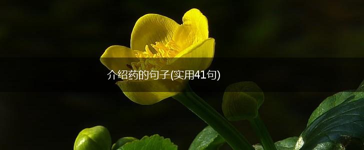 介绍药的句子(实用41句),第1张