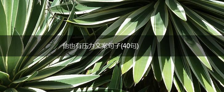 他也有压力文案句子(40句),第1张