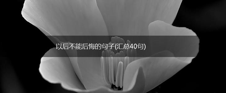 以后不能后悔的句子(汇总40句),第1张