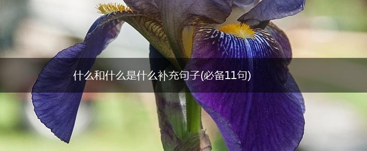 什么和什么是什么补充句子(必备11句),第1张