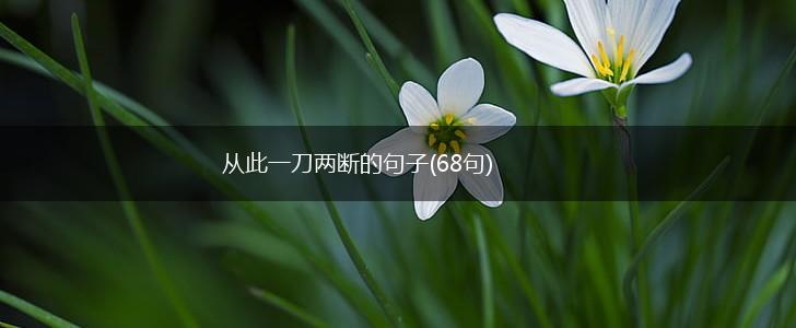 从此一刀两断的句子(68句),第1张