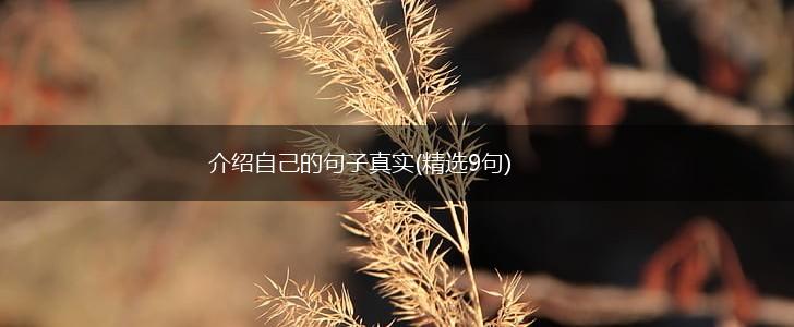 介绍自己的句子真实(精选9句),第1张