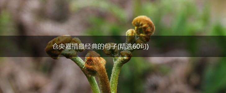 仓央嘉措最经典的句子(精选60句),第1张