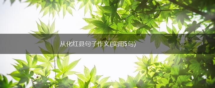 从化红县句子作文(实用5句),第1张