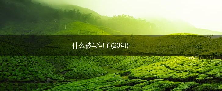 什么被写句子(20句),第1张