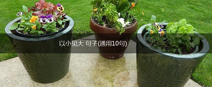 以小见大 句子(通用10句),第1张