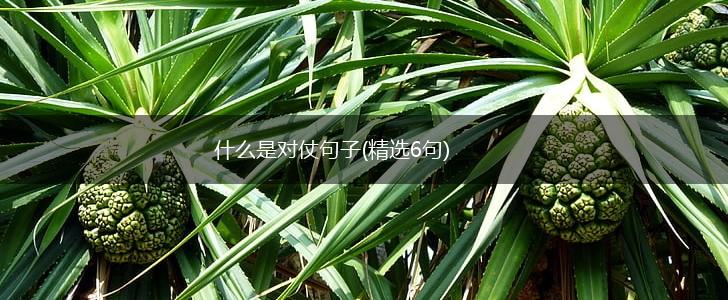 什么是对仗句子(精选6句),第1张