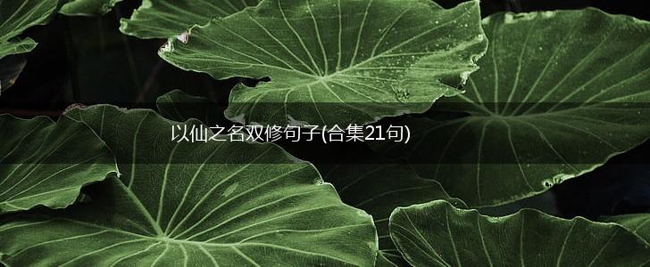 以仙之名双修句子(合集21句),第1张