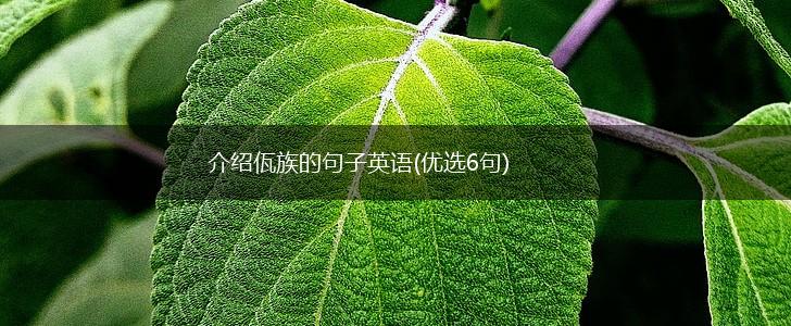 介绍佤族的句子英语(优选6句),第1张