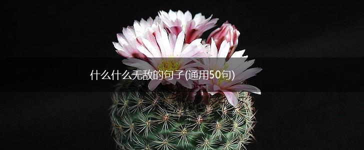 什么什么无敌的句子(通用50句),第1张