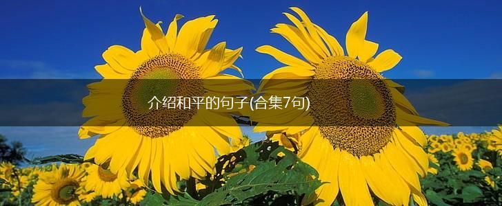 介绍和平的句子(合集7句),第1张