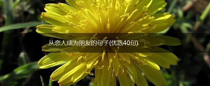 从恋人成为朋友的句子(优选40句),第1张