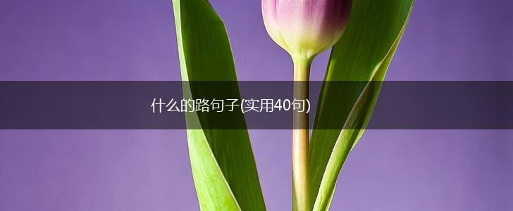 什么的路句子(实用40句),第1张