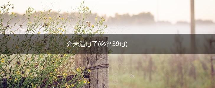 介壳造句子(必备39句),第1张