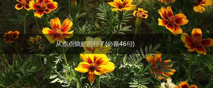 从点点做起的句子(必备46句),第1张