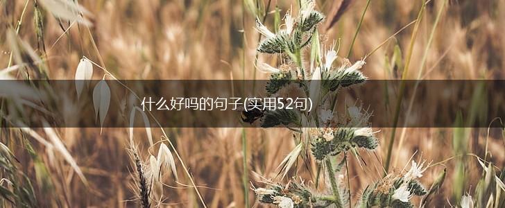 什么好吗的句子(实用52句),第1张
