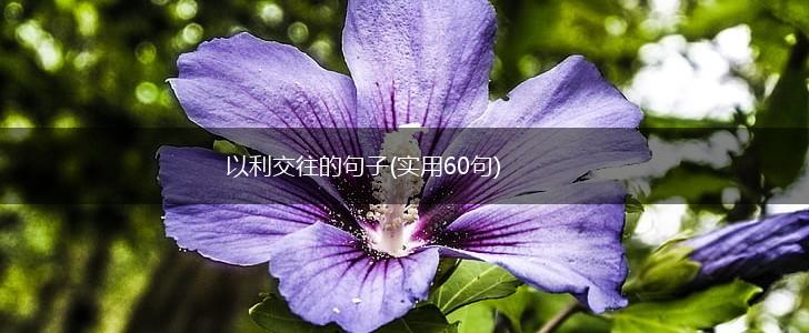 以利交往的句子(实用60句),第1张