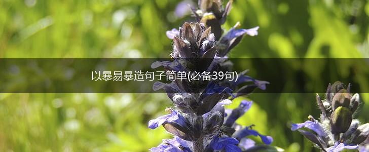 以暴易暴造句子简单(必备39句),第1张