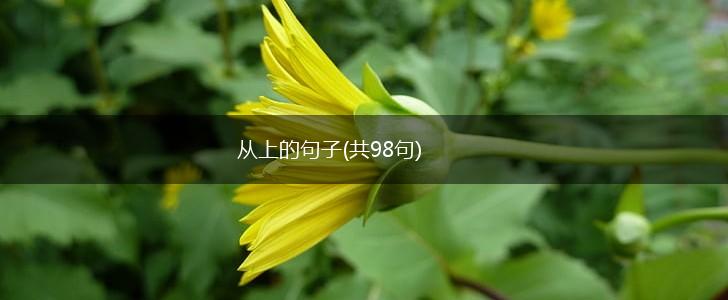 从上的句子(共98句),第1张