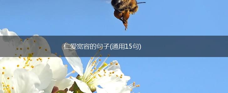 仁爱宽容的句子(通用15句),第1张