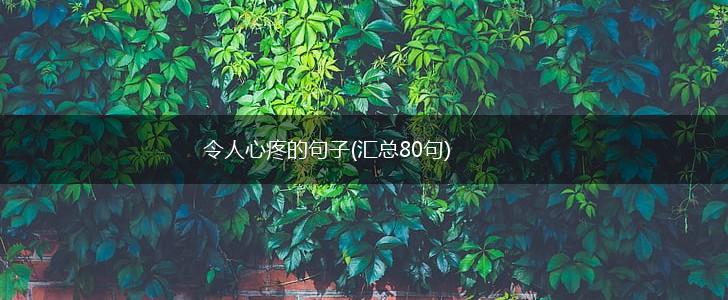 令人心疼的句子(汇总80句),第1张