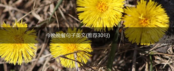 今晚晚餐句子英文(推荐30句),第1张