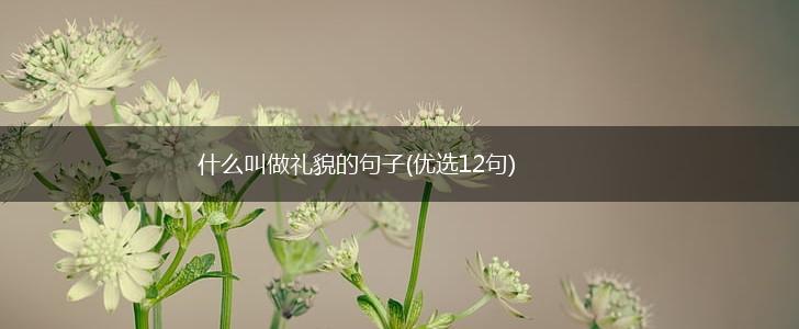 什么叫做礼貌的句子(优选12句),第1张