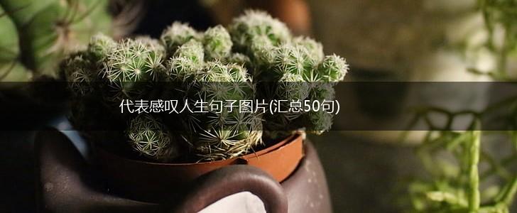 代表感叹人生句子图片(汇总50句),第1张